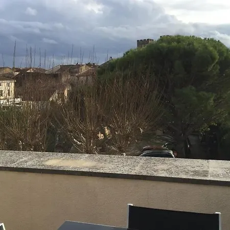 Apartment Duplex Lumineux Sur Gde Terrasse, Balneo Double, Parking Prive, Clim, Local Velos *