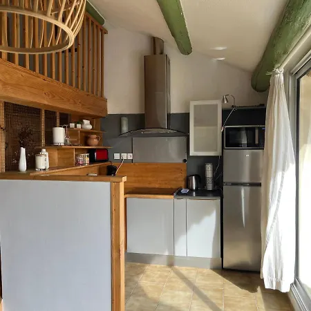 Duplex Lumineux Sur Gde Terrasse, Balneo Double, Parking Prive, Clim, Local Velos Apartment